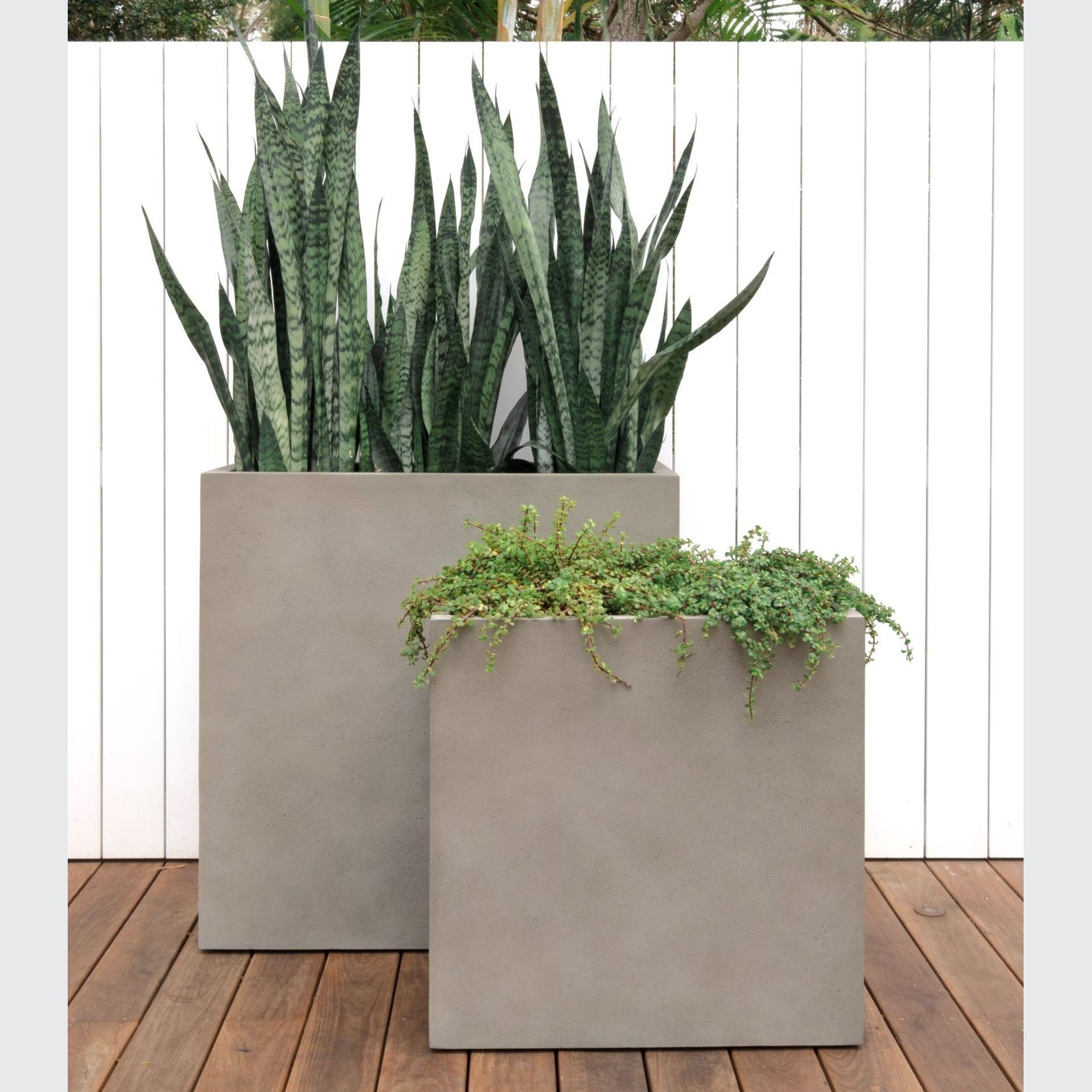 Duralite Tall Trough gallery detail image