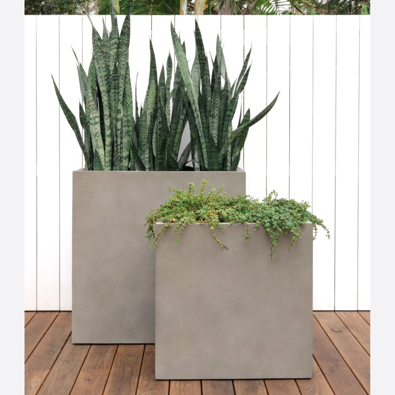 Duralite Tall Trough gallery detail image