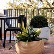 Handthrown Terracotta Coil Low gallery detail image