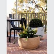 Handthrown Terracotta Coil Low gallery detail image