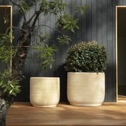 Handthrown Terracotta Coil gallery detail image