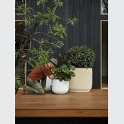 Handthrown Terracotta Coil gallery detail image