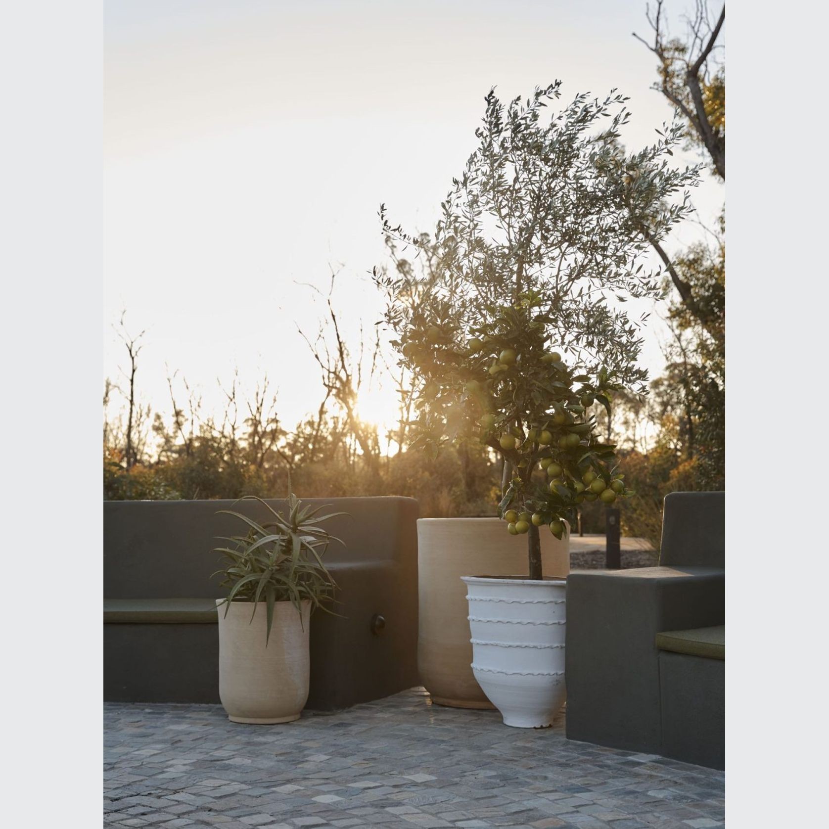 Handthrown Terracotta Cylinder gallery detail image