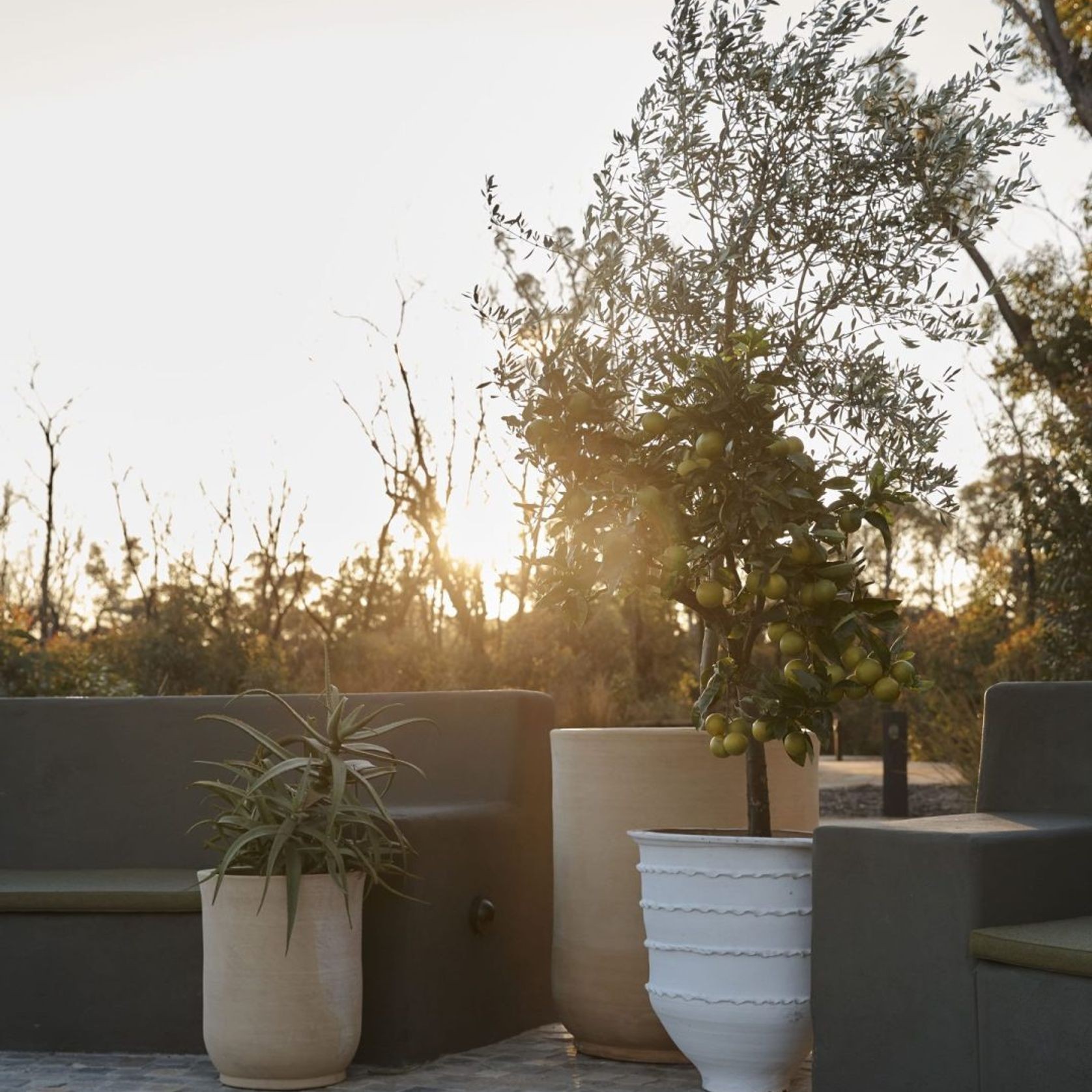 Handthrown Terracotta Cylinder gallery detail image
