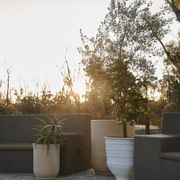 Handthrown Terracotta Cylinder gallery detail image