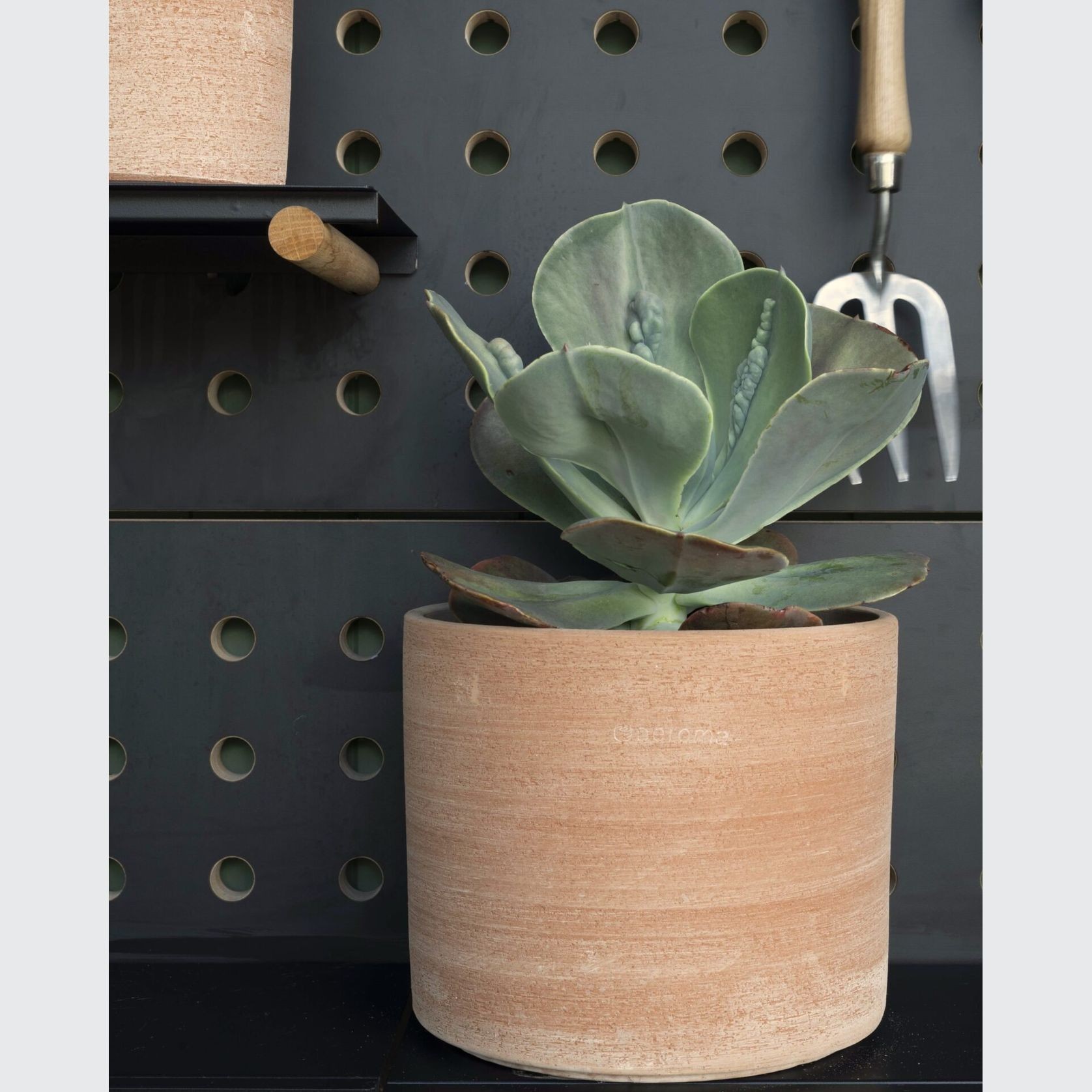 Terracotta Luna Cylinder gallery detail image