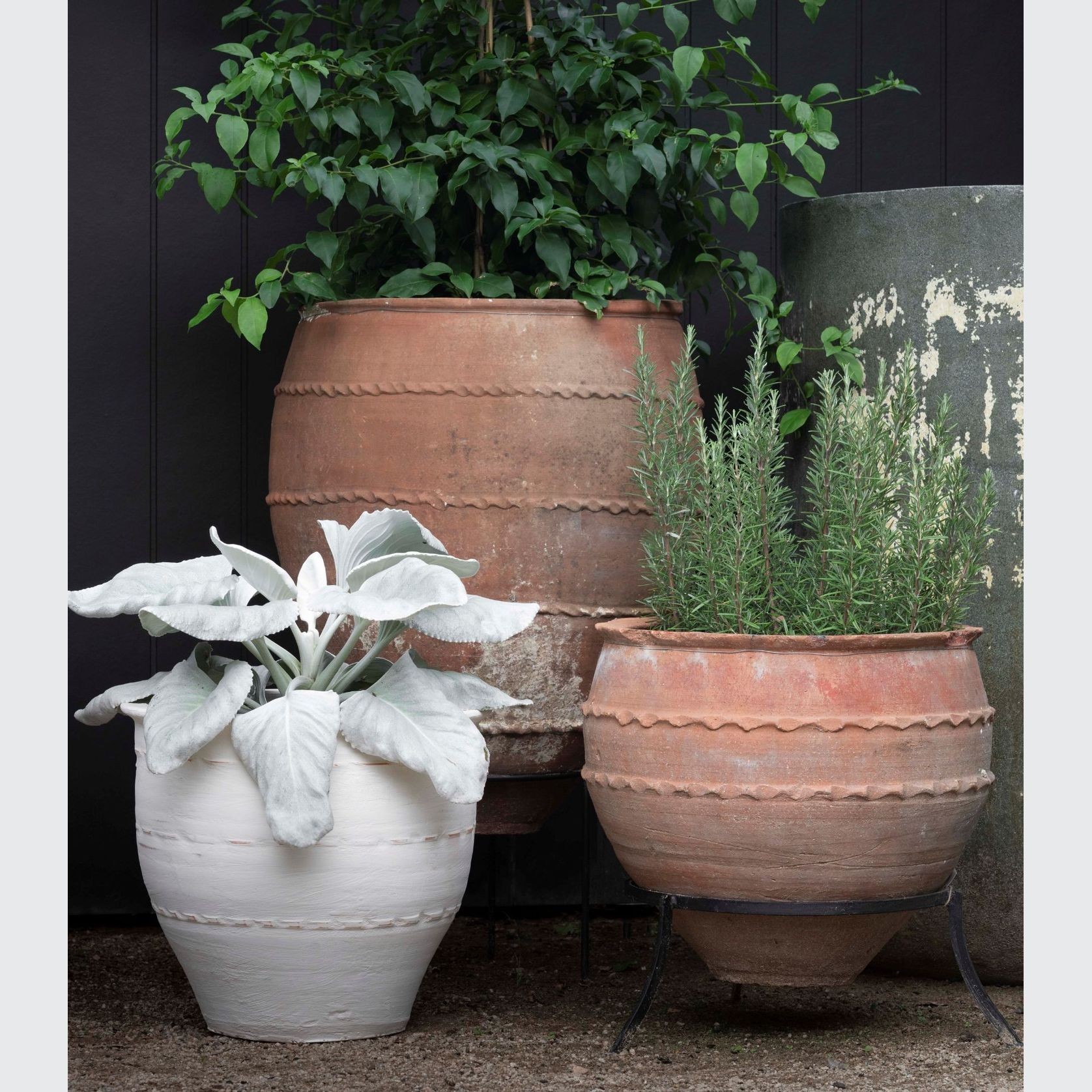 Turkish Dagar gallery detail image