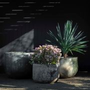 Woodfired Bullet gallery detail image