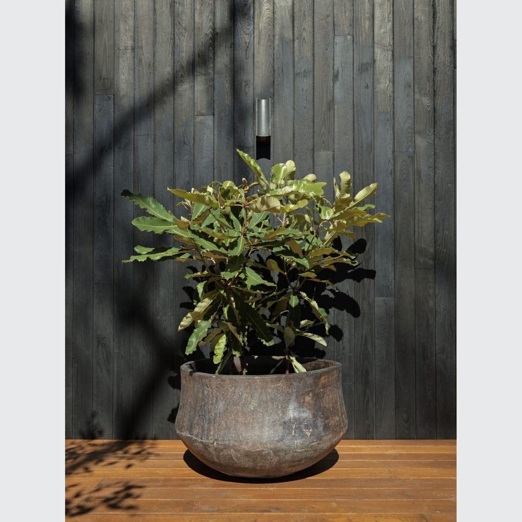 Woodfired Drum gallery detail image