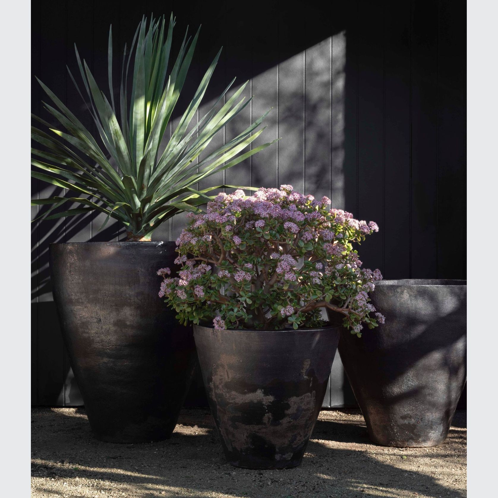 Woodfired Sancha gallery detail image