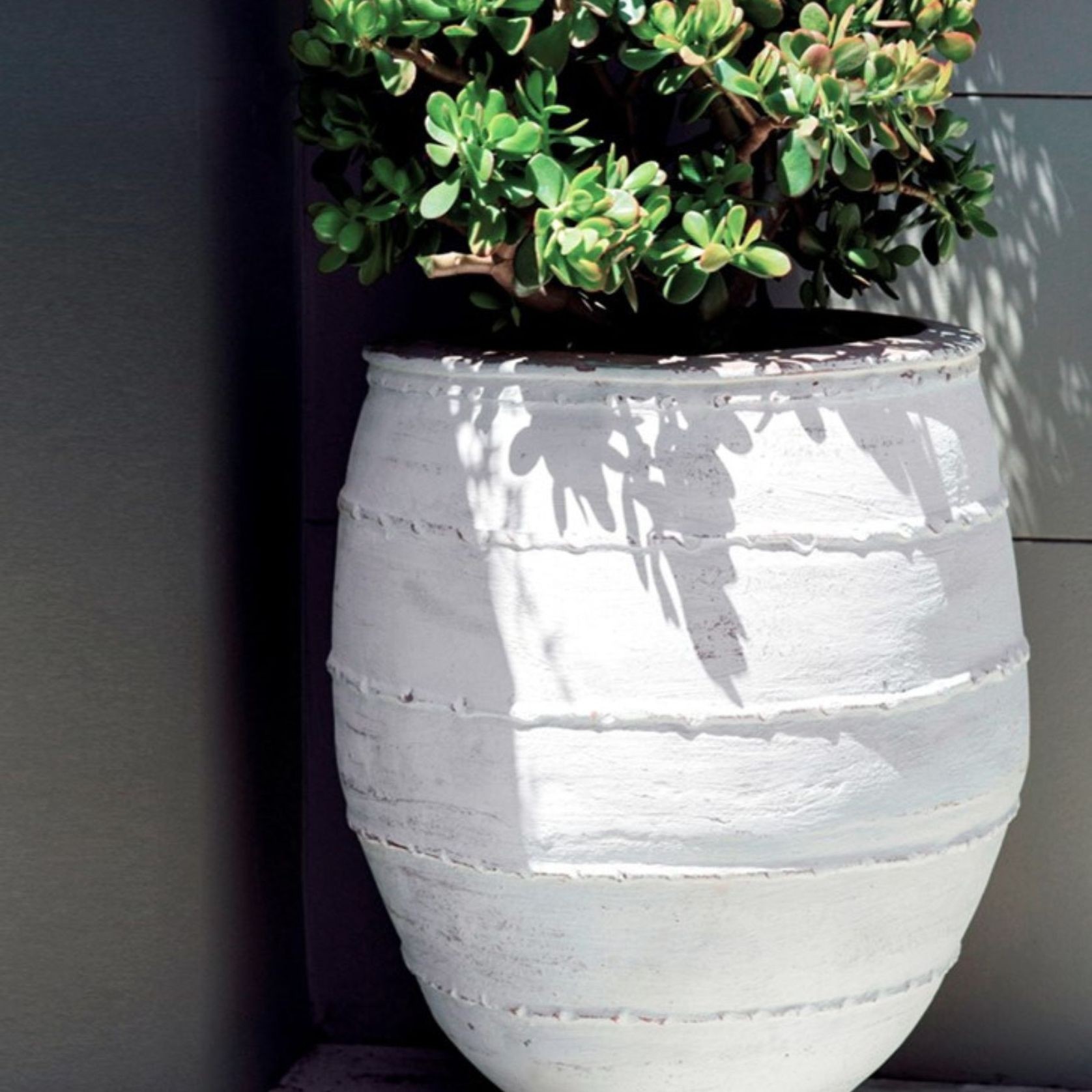 Turkish Dagar gallery detail image