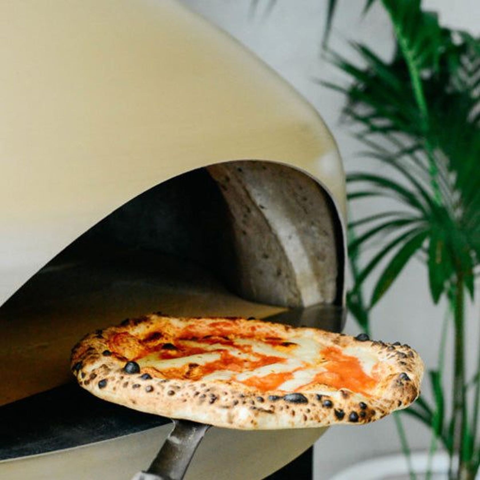 Giotto Refractory Wood Fired Pizza Oven gallery detail image