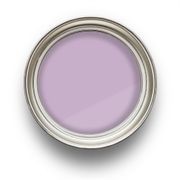 Gratitude gallery detail image