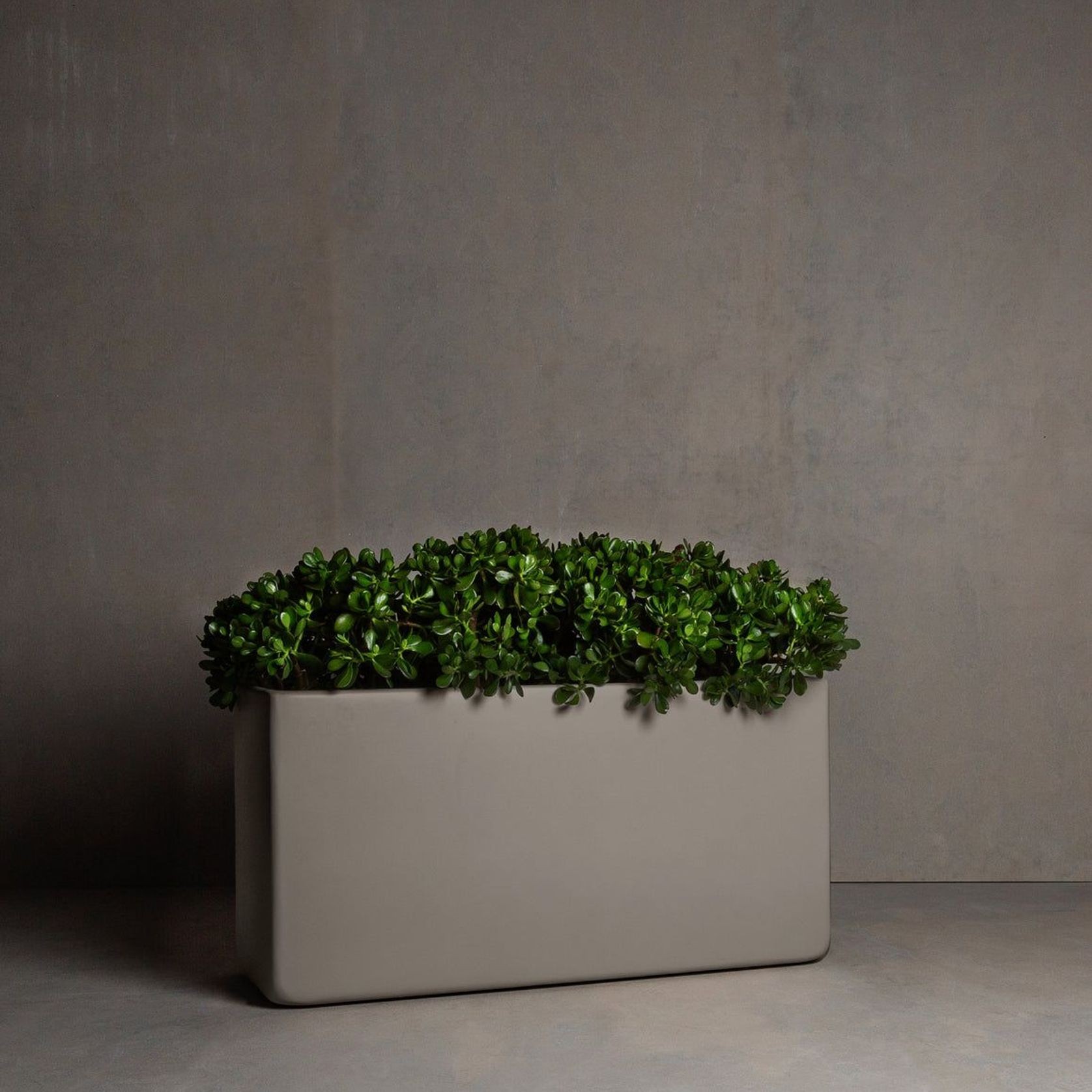 Hibernate Low Line Planters | Clay gallery detail image
