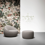 Heracleum III Large gallery detail image