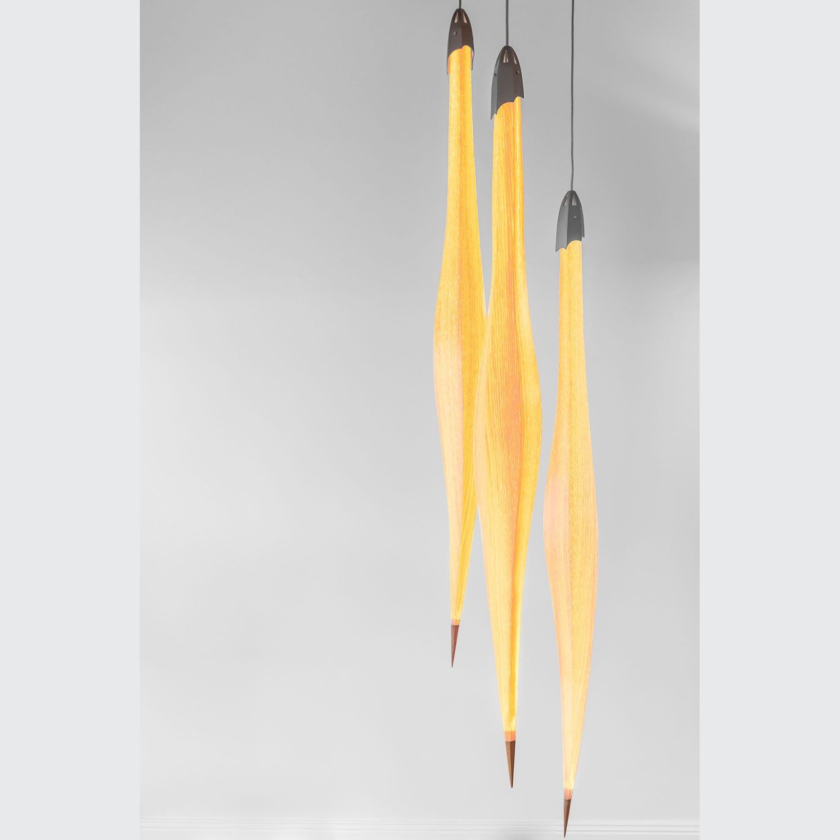 Harakeke Pods gallery detail image