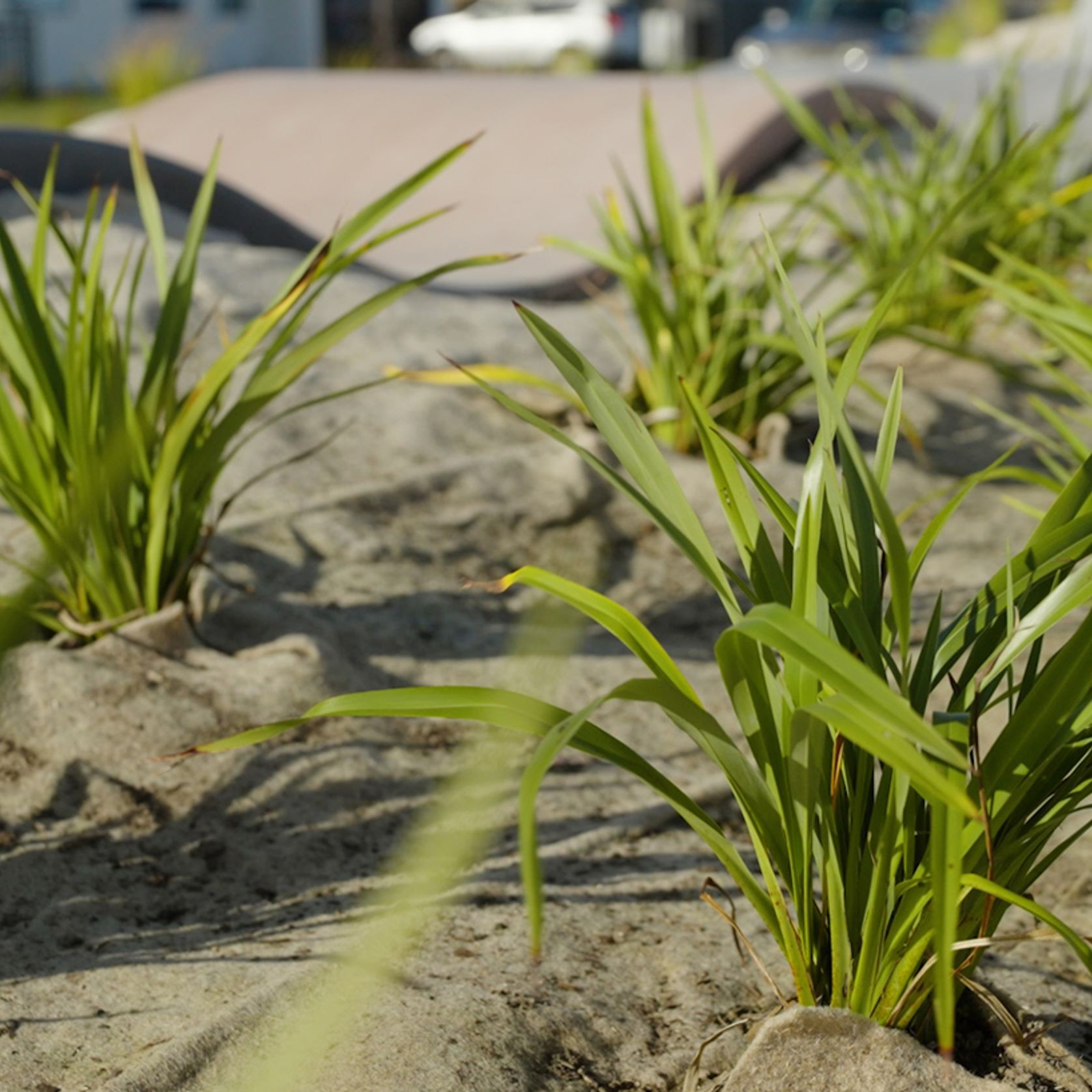 FuturFiber® Hemp 1000gsm gallery detail image