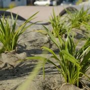 FuturFiber® Hemp 1000gsm gallery detail image