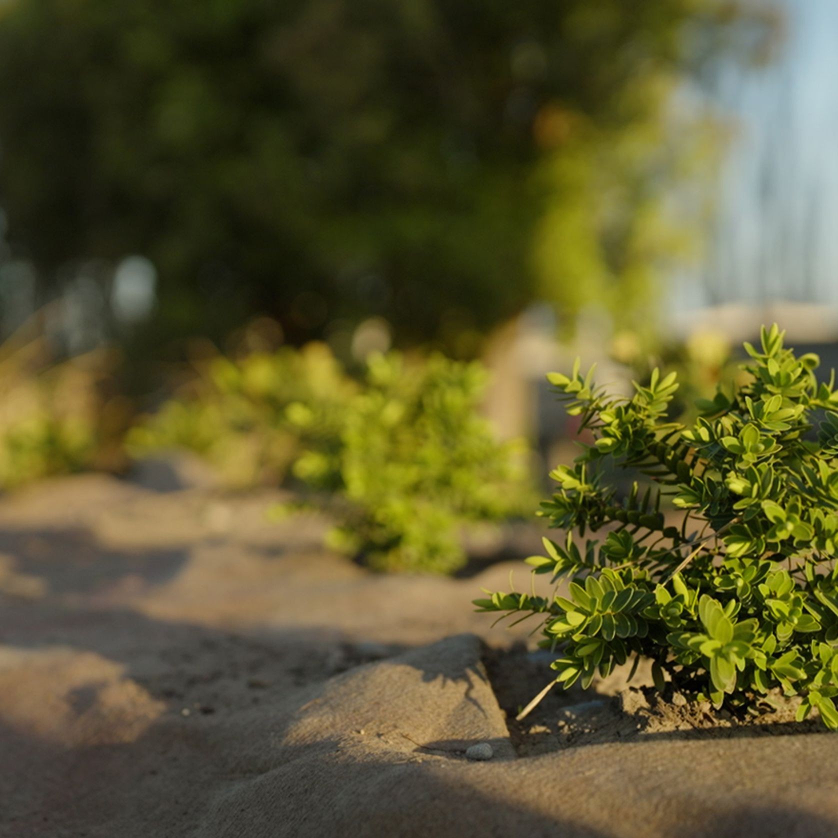 FuturFiber® Hemp 1000gsm gallery detail image