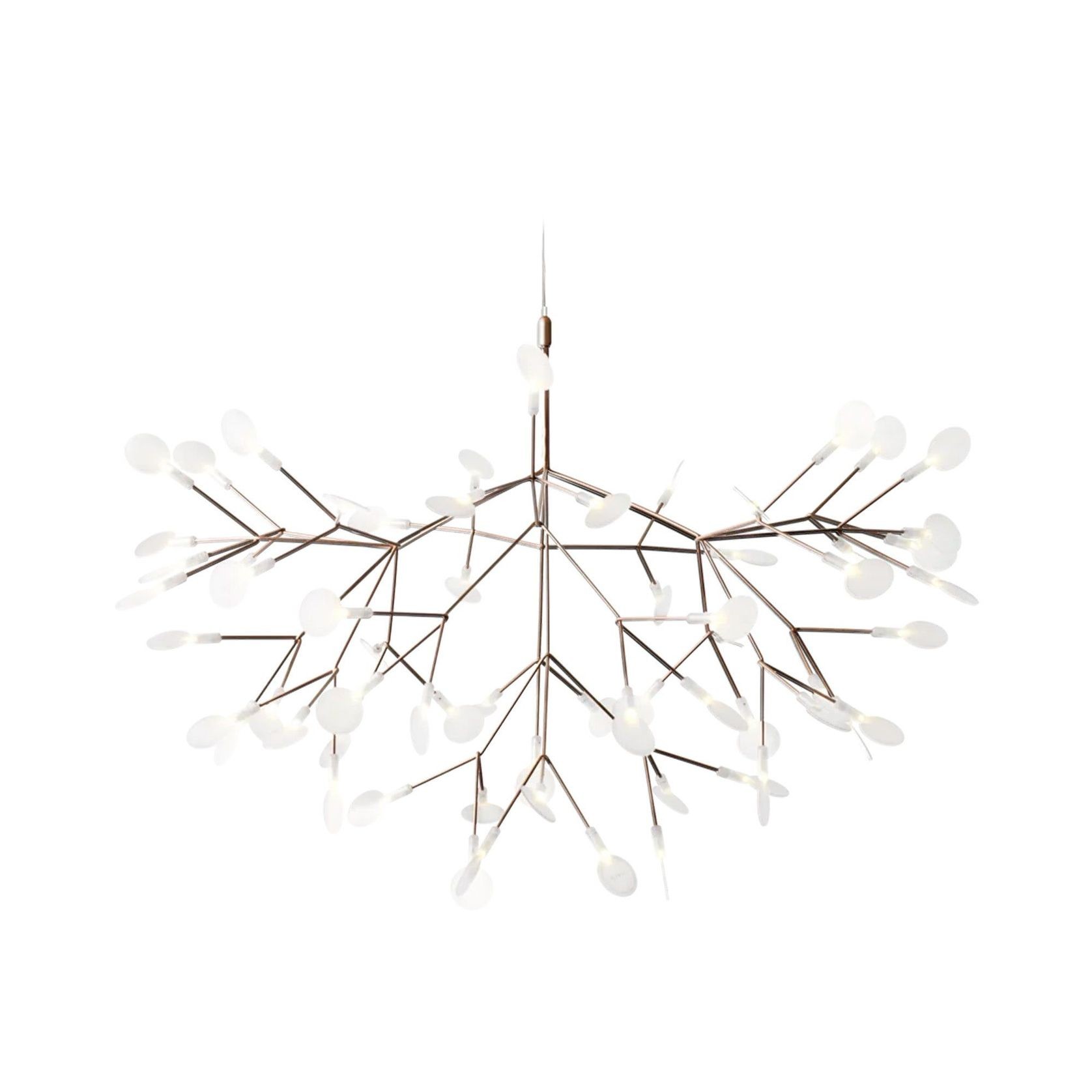 Heracleum III Large gallery detail image