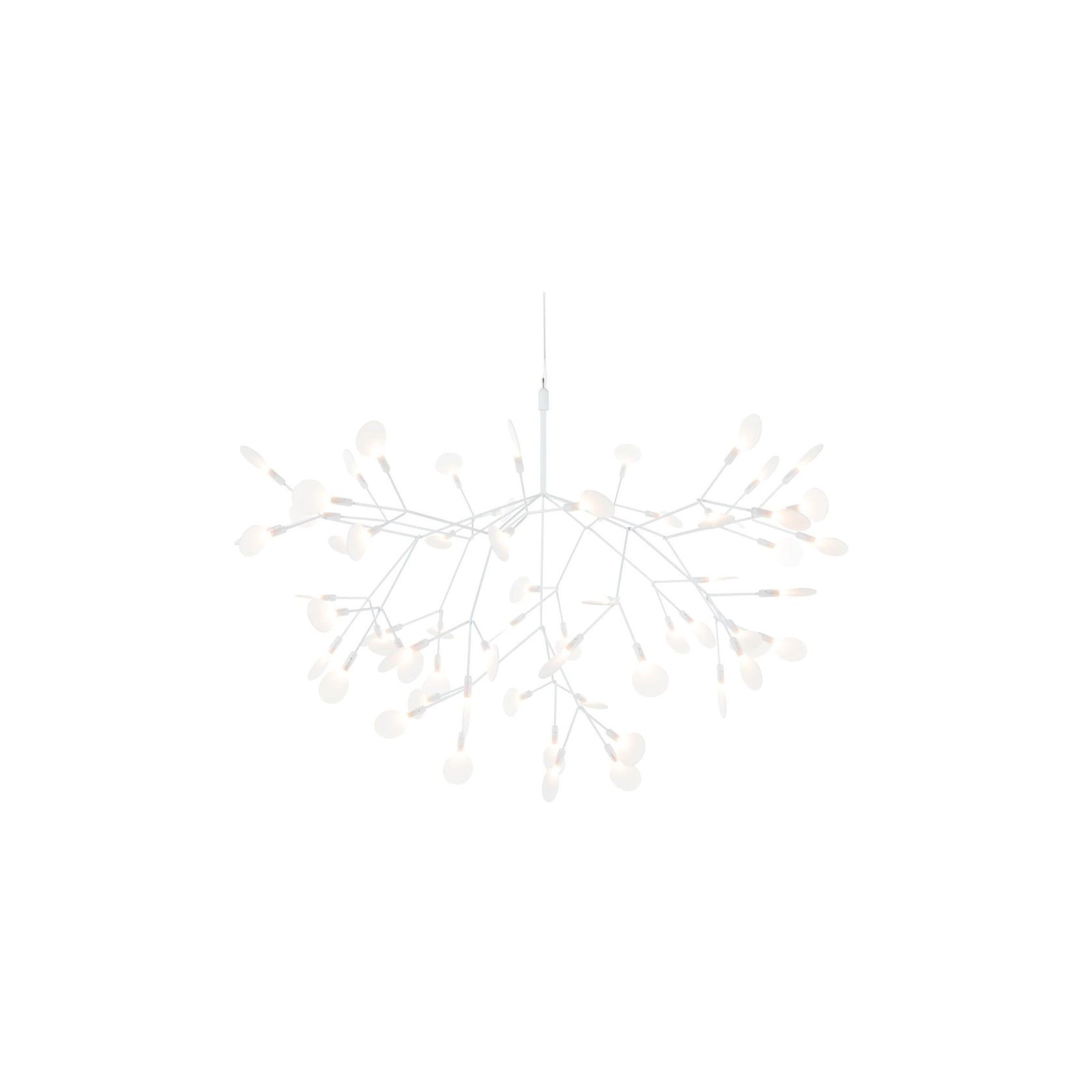 Heracleum III Large gallery detail image