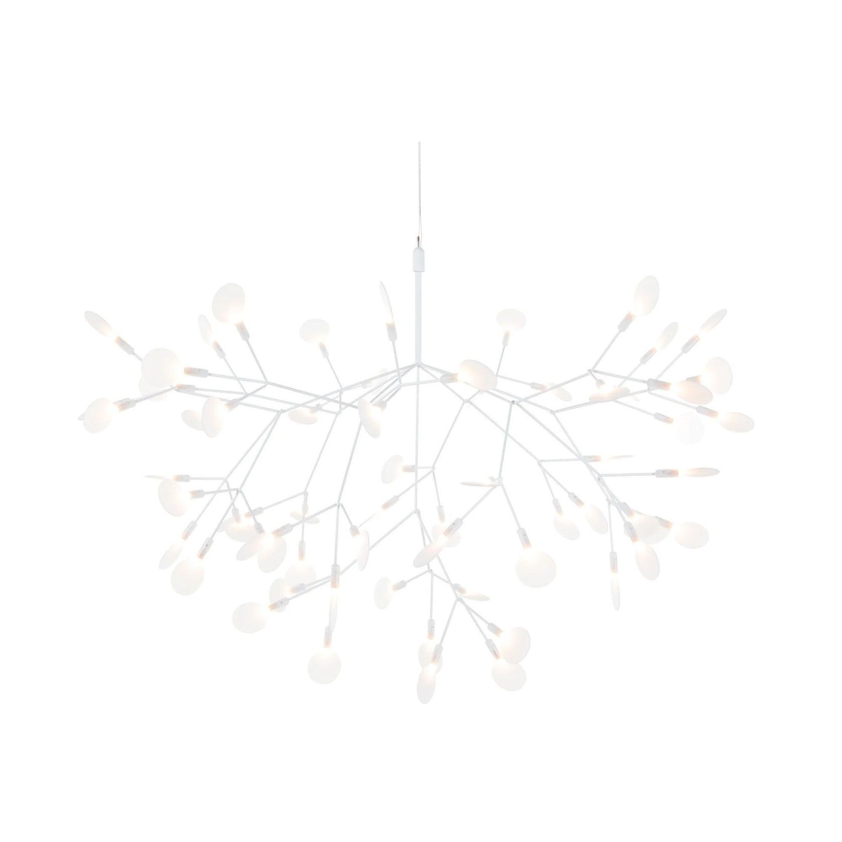 Heracleum III Large gallery detail image