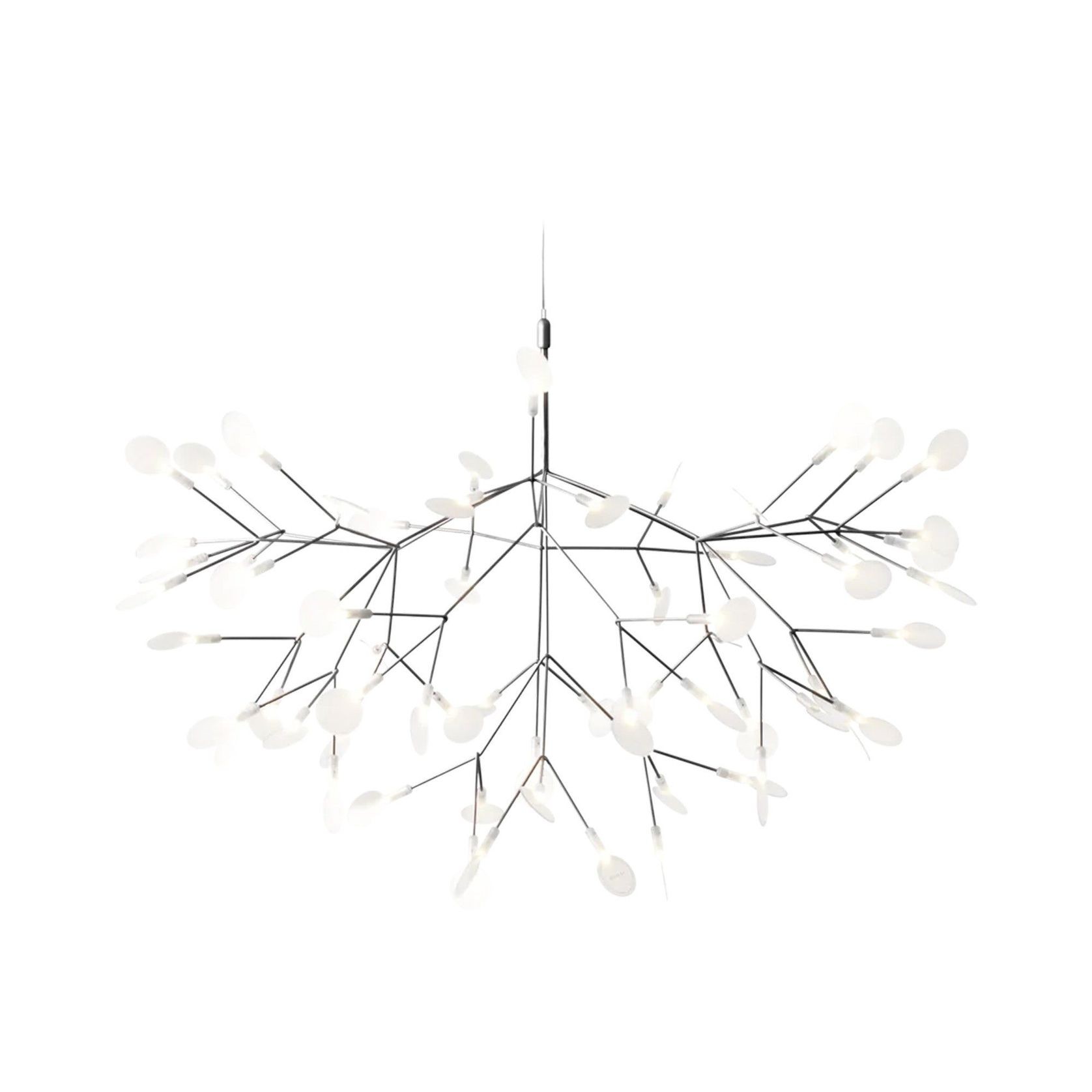 Heracleum III Large gallery detail image