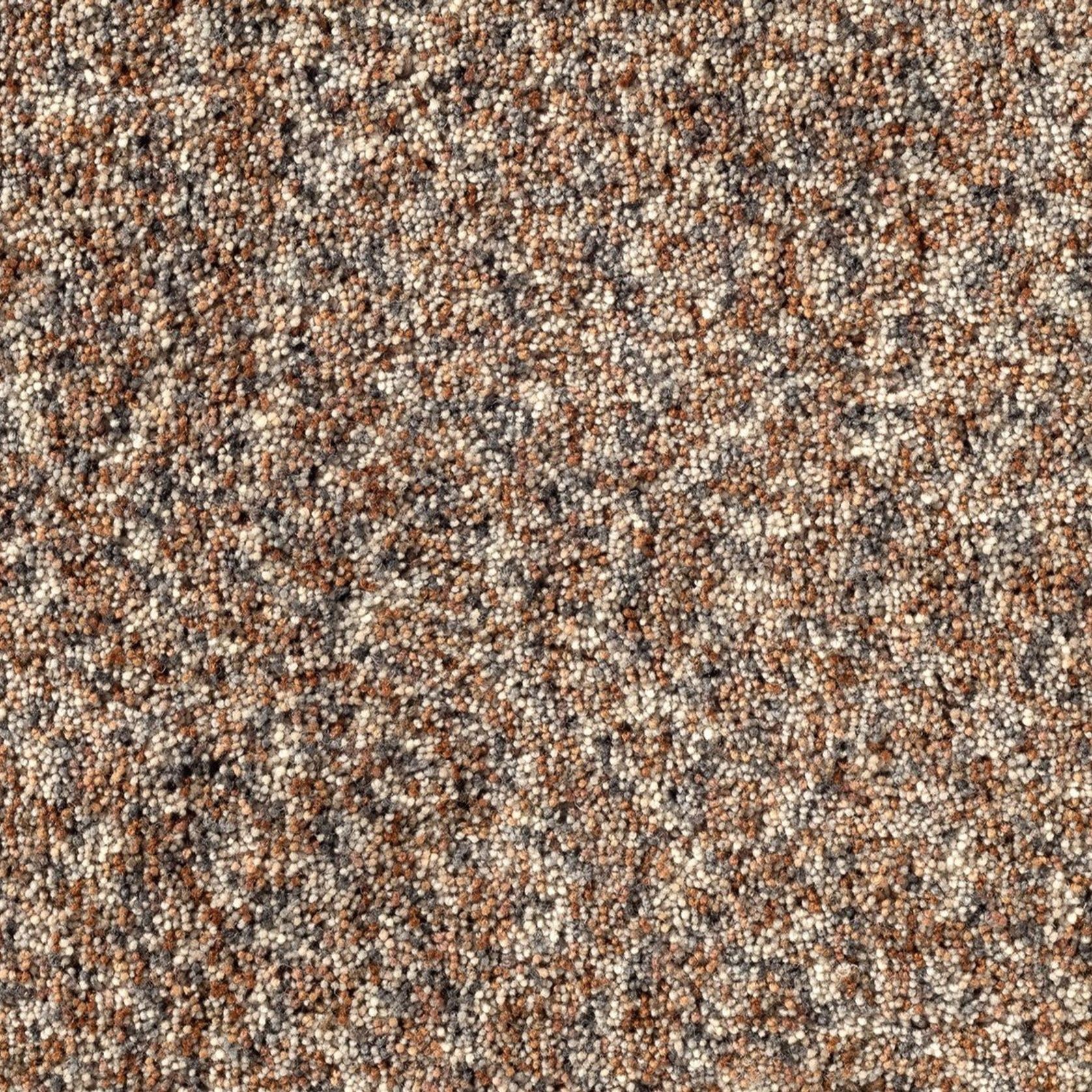 Holiday gallery detail image