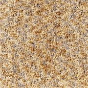 Holiday gallery detail image