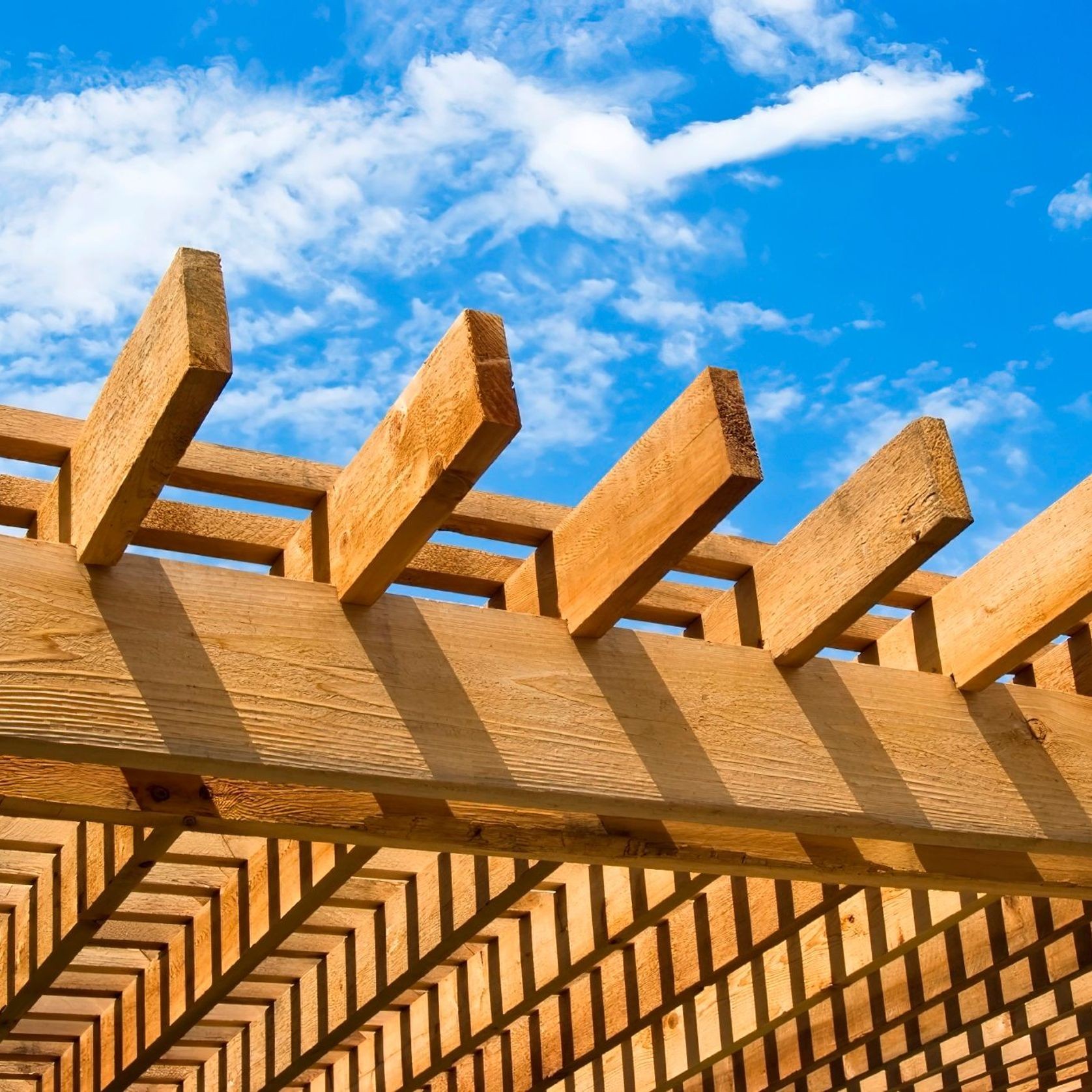 Landscaping & Structural Timber gallery detail image