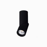 Fenno Surface Mount Light gallery detail image