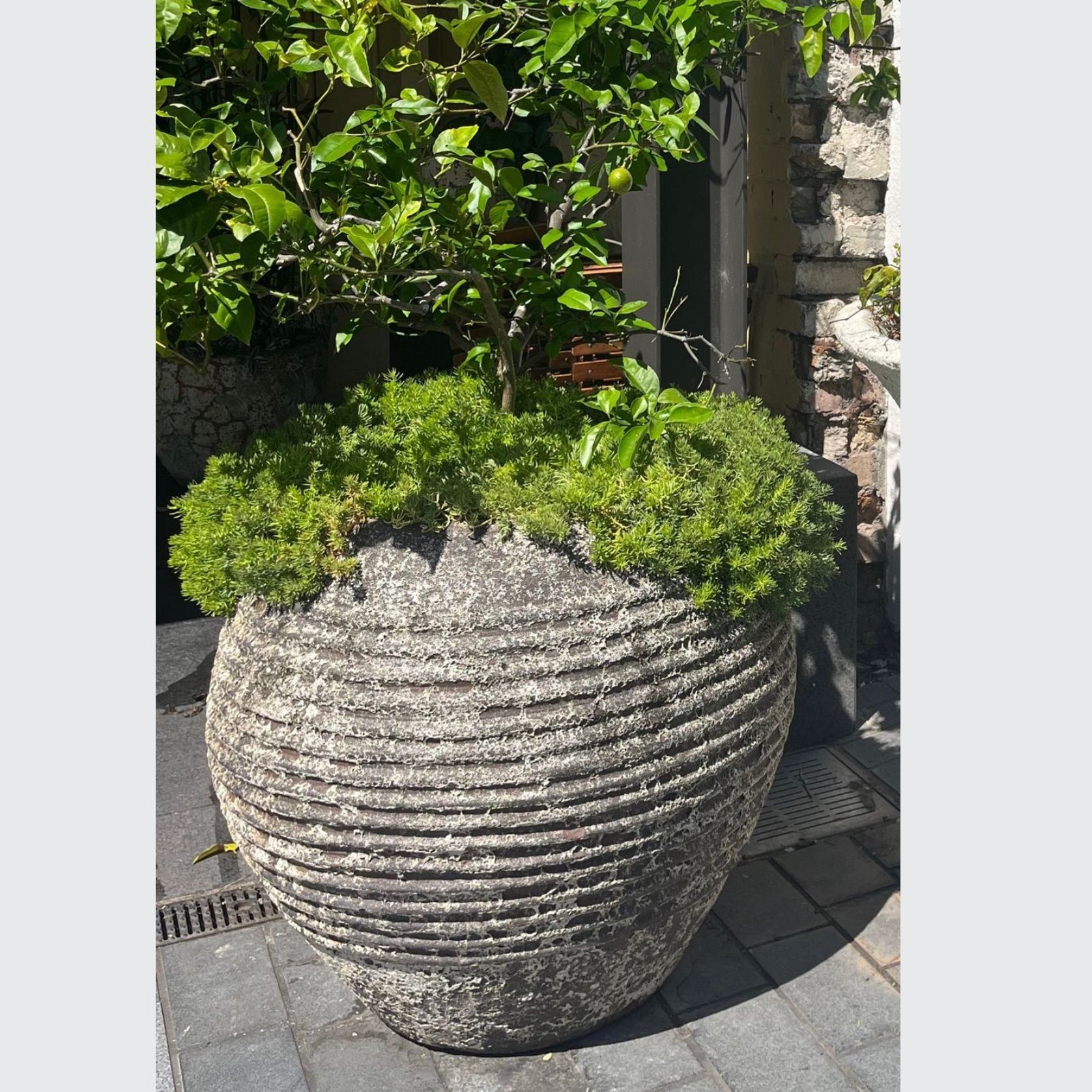 Beehive Jar gallery detail image