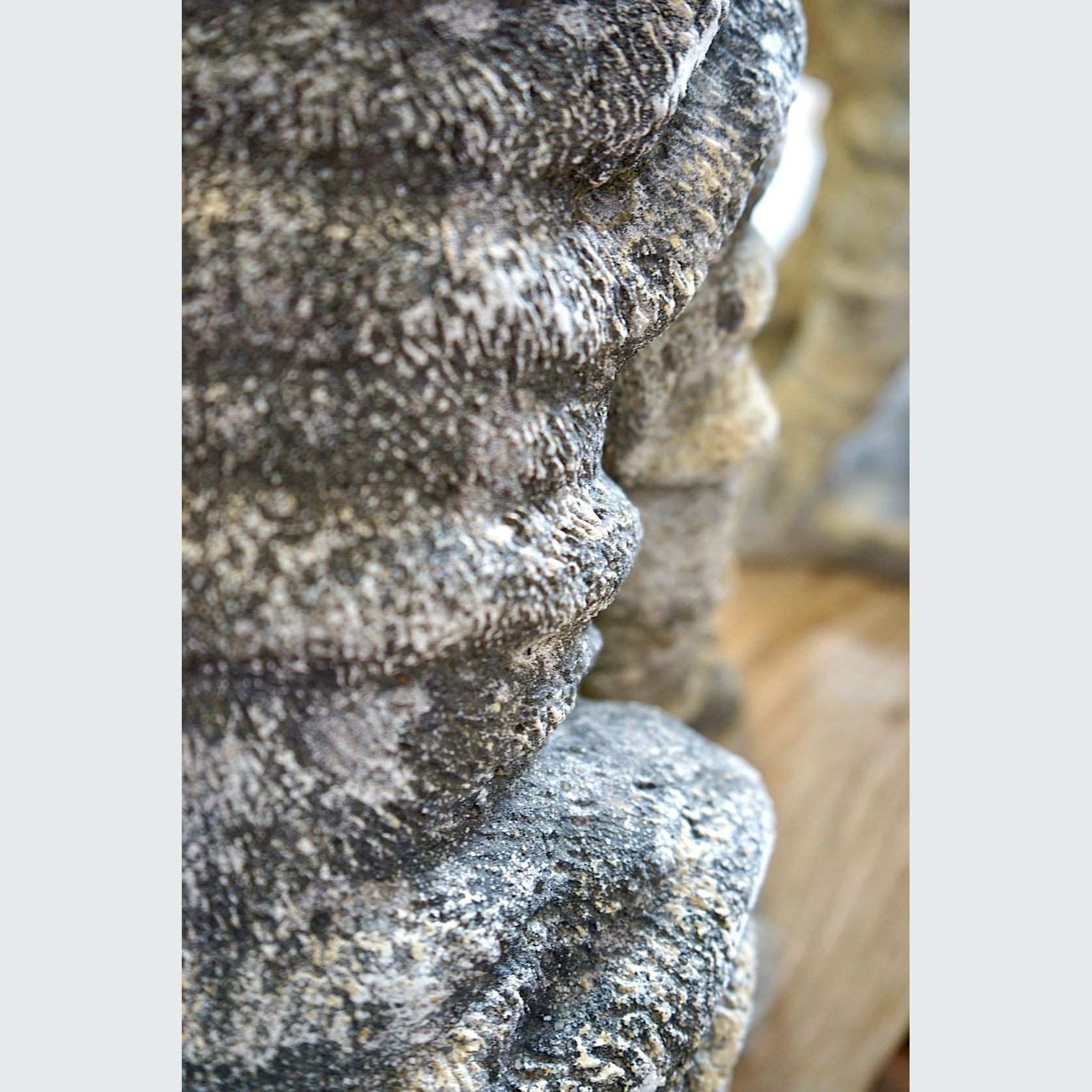 Cast Stone Dog Statues (Pair) gallery detail image