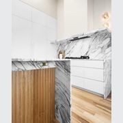 13 Carbon Double Outlet Faceplate gallery detail image