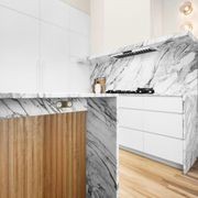 13 Carbon Double Outlet Faceplate gallery detail image