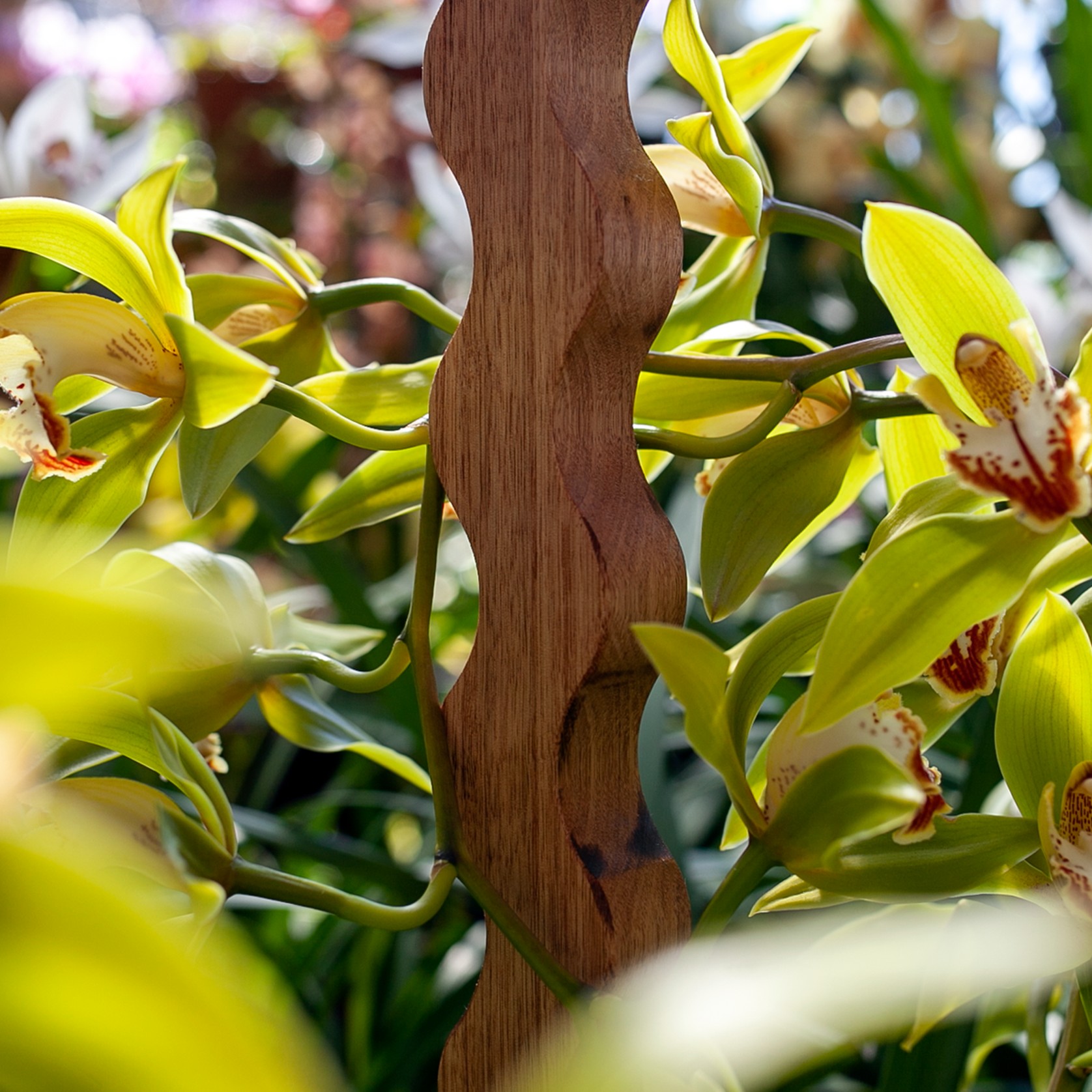 Wave I, Plant Stake by Secateur Me Baby, Large gallery detail image