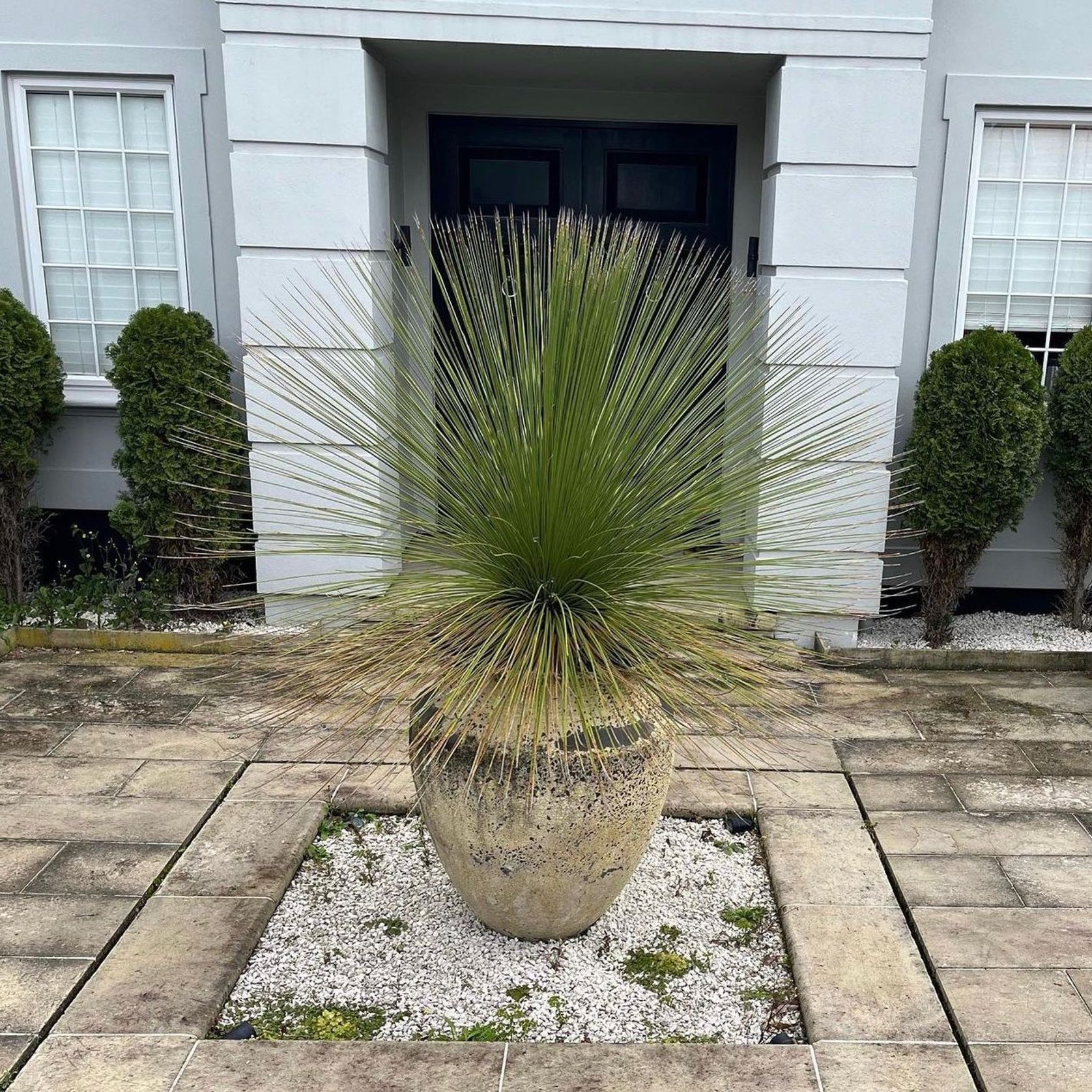 Atlantis - Skorpio Jar (No Lines) gallery detail image