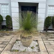 Atlantis - Skorpio Jar (No Lines) gallery detail image