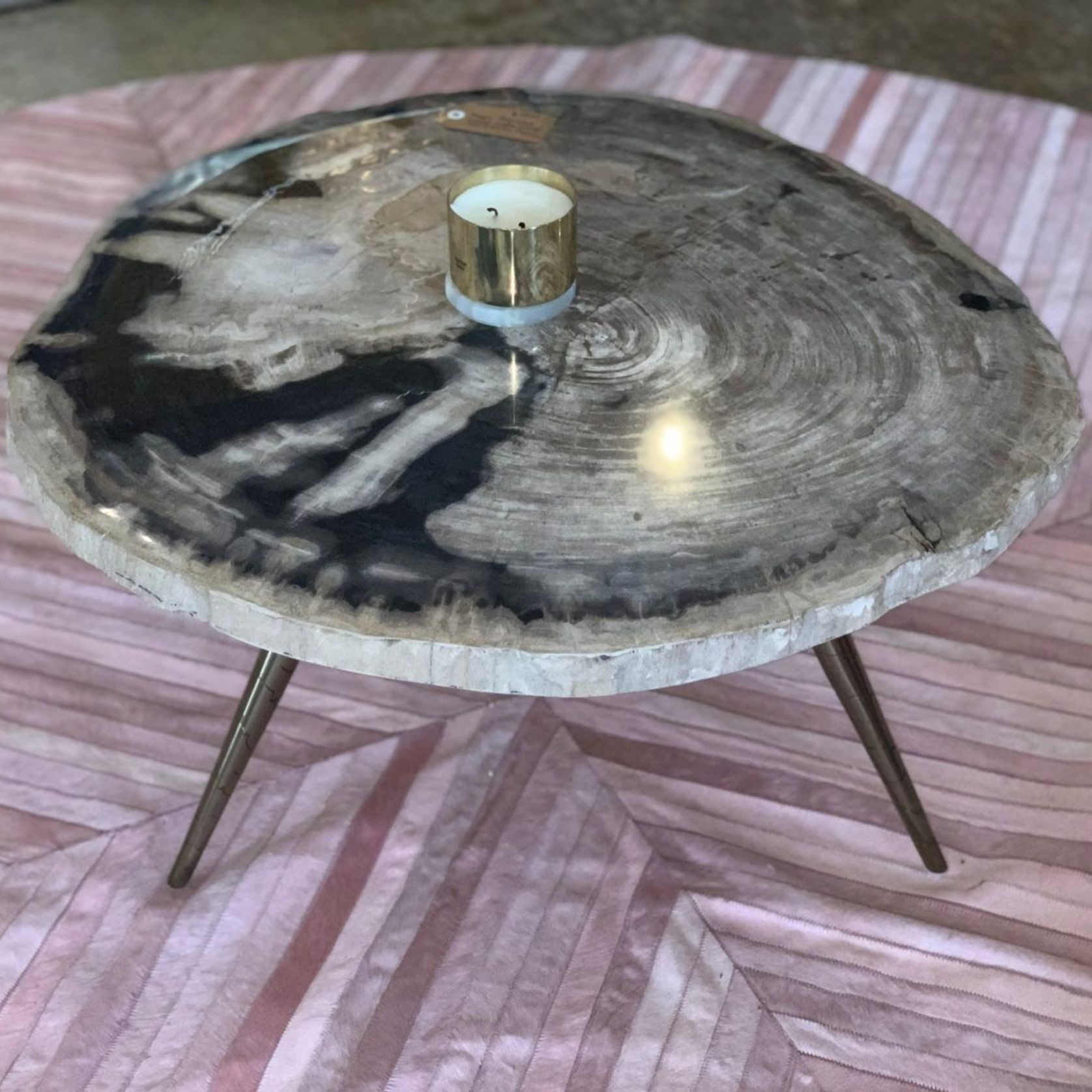 Petro Petrified Wood Coffee Table gallery detail image