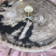 Petro Petrified Wood Coffee Table gallery detail image