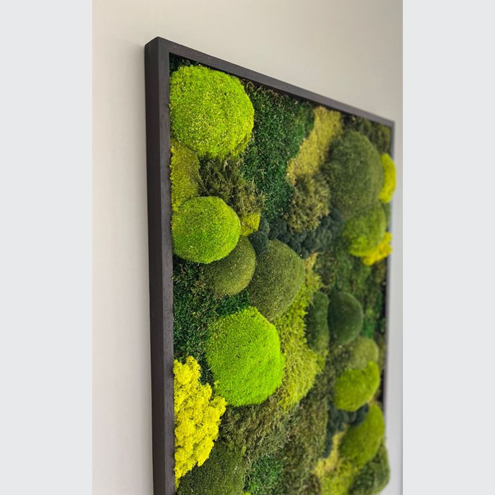 Green Elegance Oasis Wall Art by Gaea gallery detail image