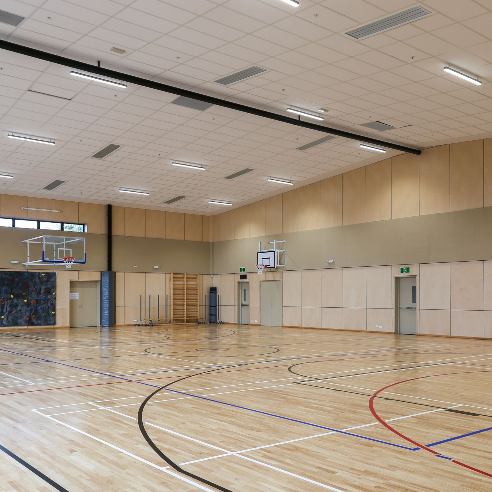 Birch Elite Panels - Plytech Panels gallery detail image