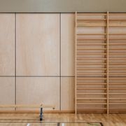 Birch Elite Panels - Plytech Panels gallery detail image