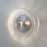 Coral Wall Light - Clear gallery detail image