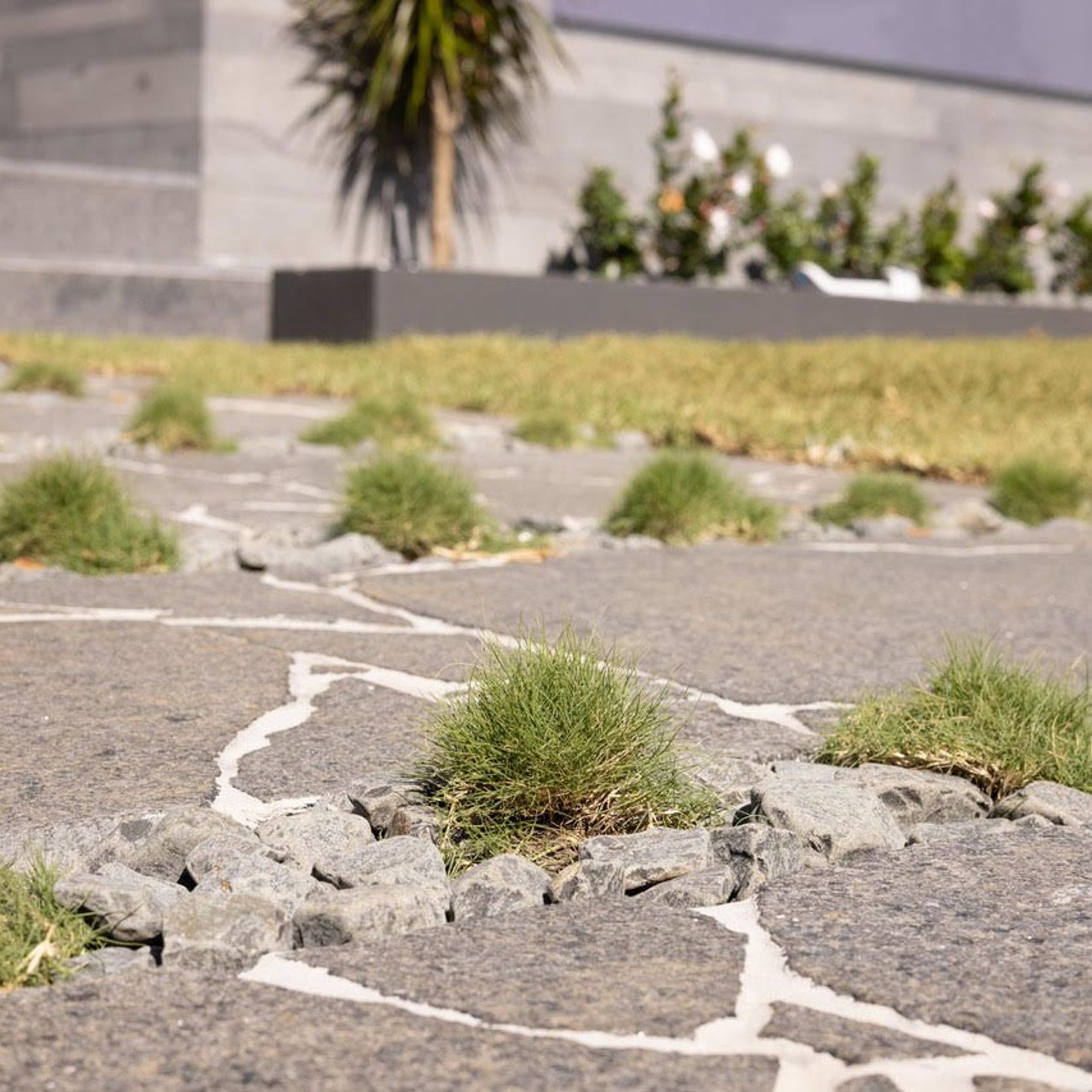 Impala Black Granite Crazy Paving gallery detail image