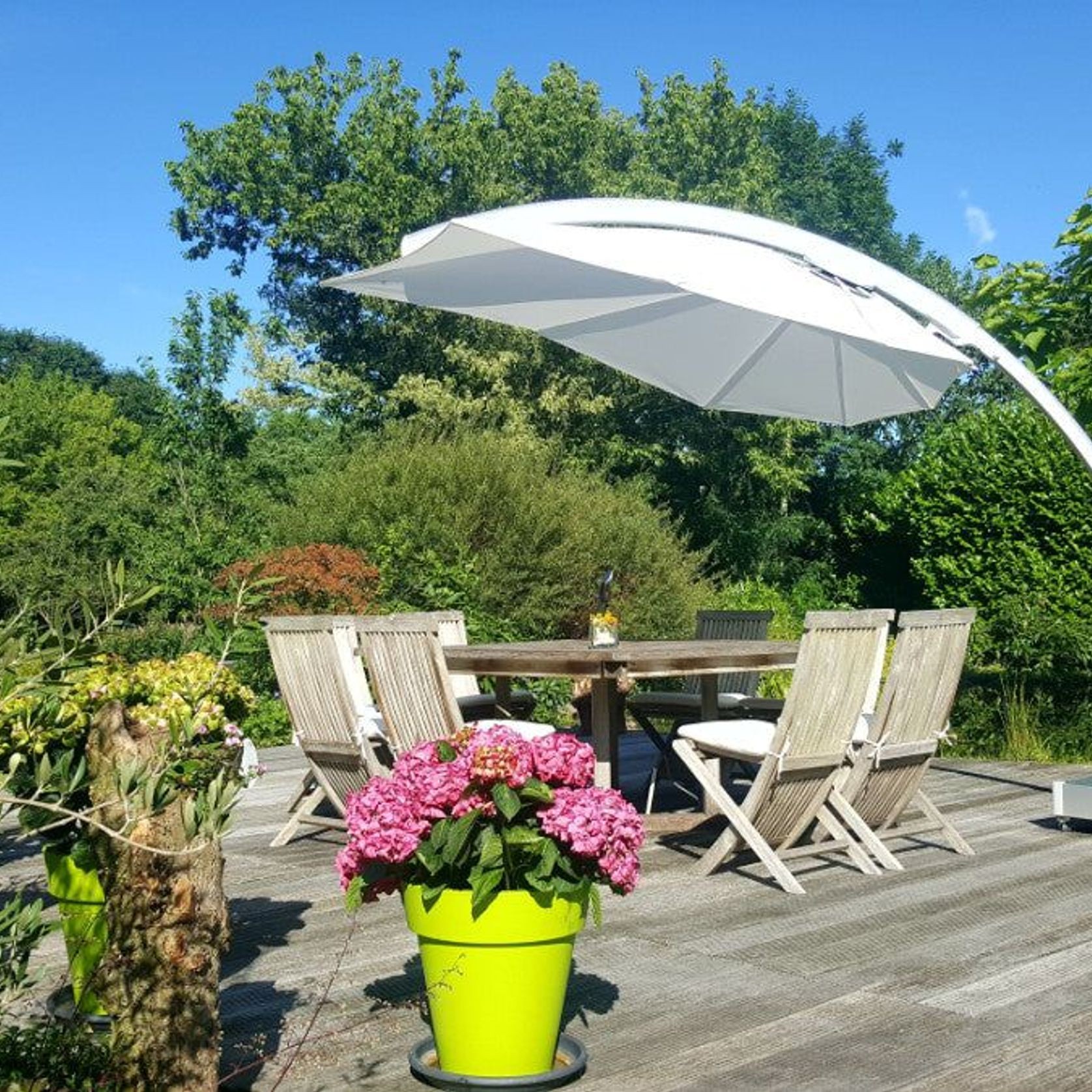 Umbrosa Icarus Cantilever Umbrella gallery detail image