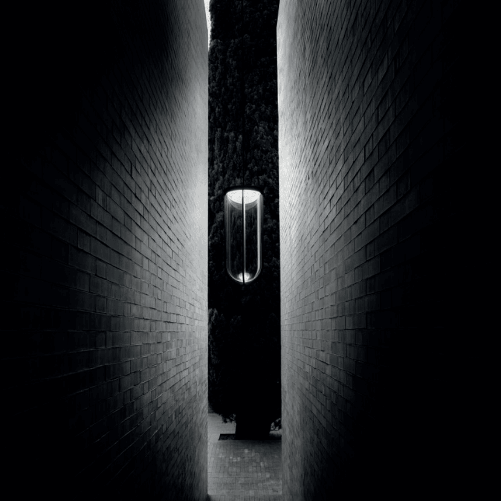 In Vitro Suspension gallery detail image