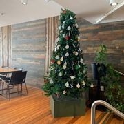 Interior Cladding | Rustic Wall T&G gallery detail image