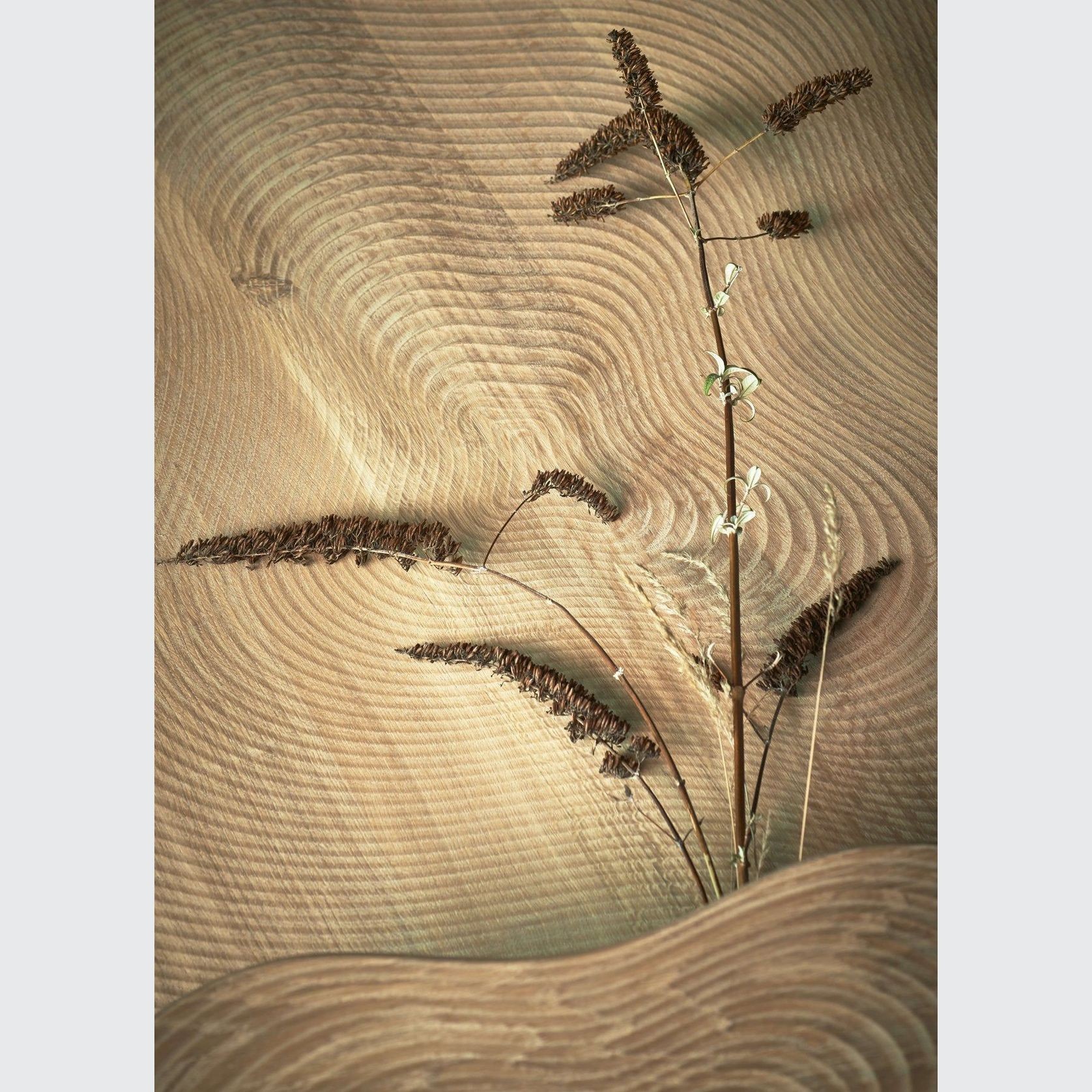 Isola Coffee Table gallery detail image