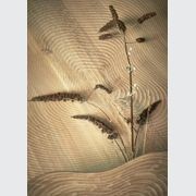 Isola Coffee Table gallery detail image